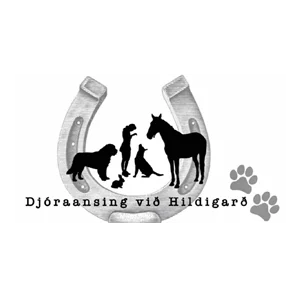 Djóraansing við Hildigarð Djóraansing við Hildigarð