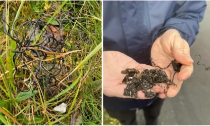 Plástdálking: Eitt álvarsligt umhvørvismál