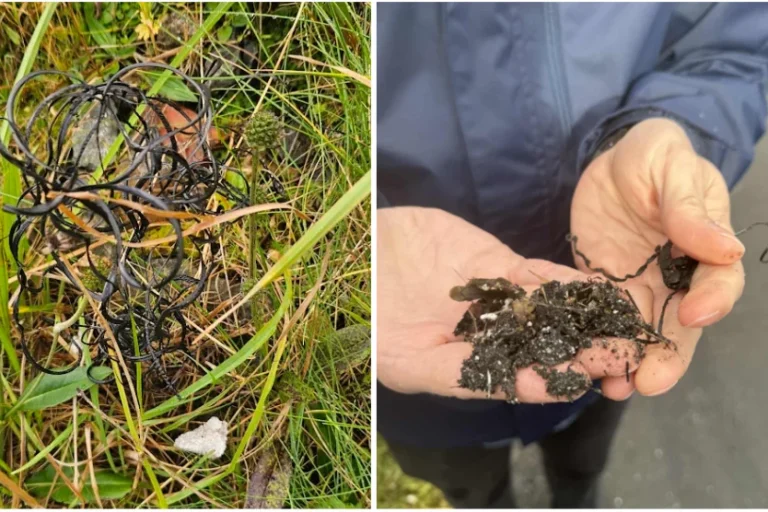 Plástdálking: Eitt álvarsligt umhvørvismál Plástdálking: Eitt álvarsligt umhvørvismál