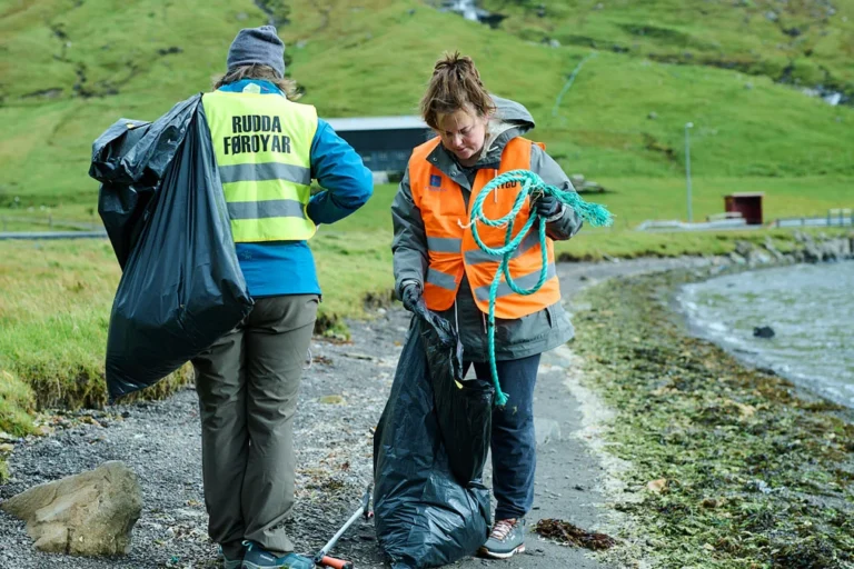 17 TONS RUDDAÐ Í ÁR 17 TONS RUDDAÐ Í ÁR